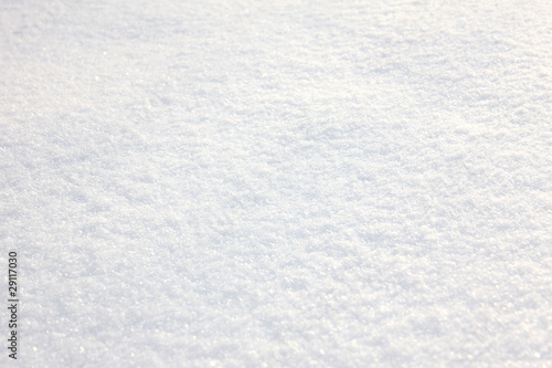 Snow and snowflakes texture photo