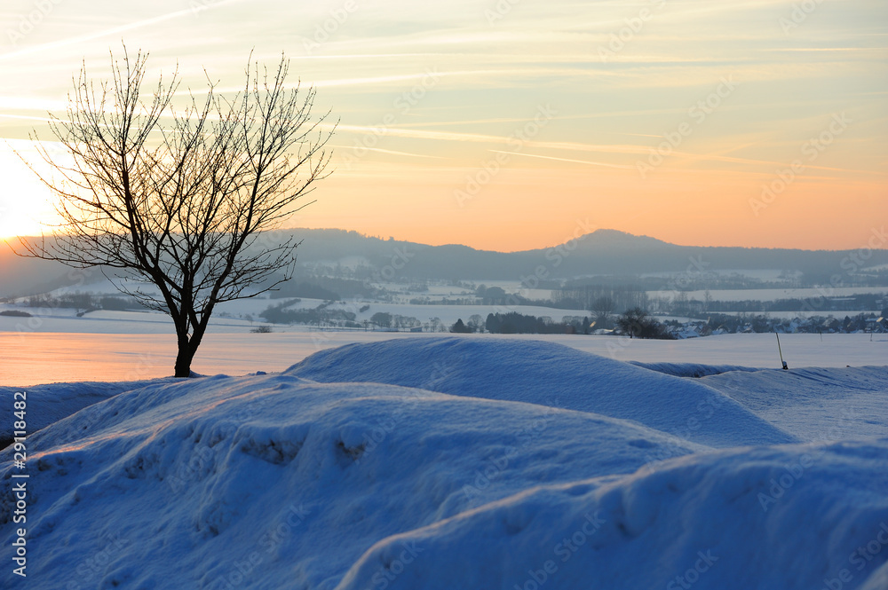 winter landscape in sunset