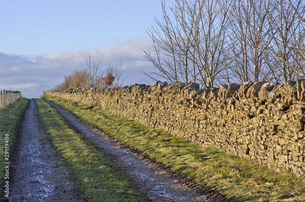 Fototapeta premium footpath