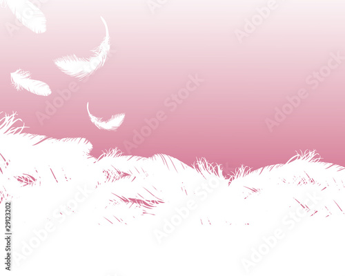 feather background pink