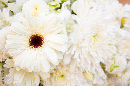 Among white flowers.