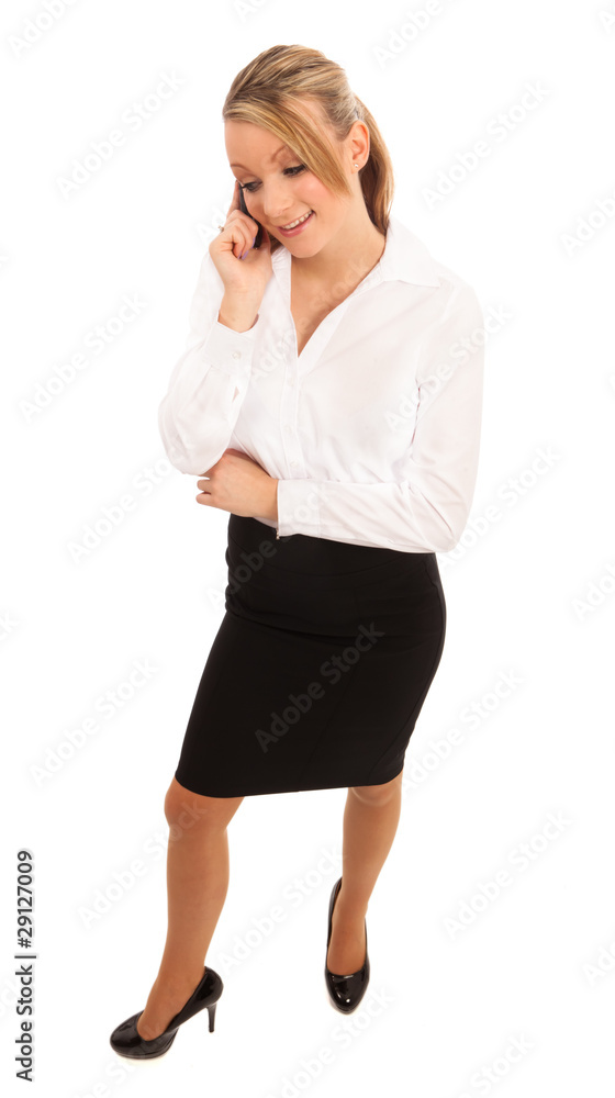 Business Woman Business Woman