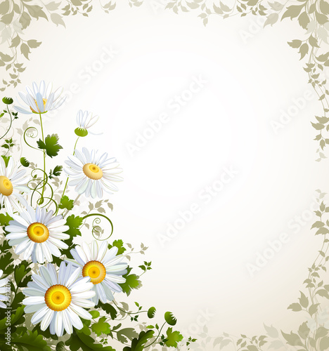 postal with a realistic chamomile on the beige background © artant