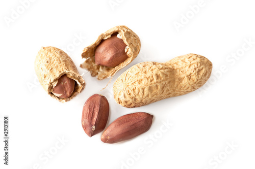 Group of peanuts over white background