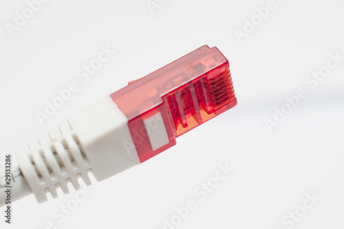 Computer Network Cable photo