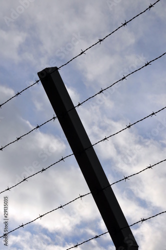 Wallpaper Mural Stacheldrahtzaun Torontodigital.ca