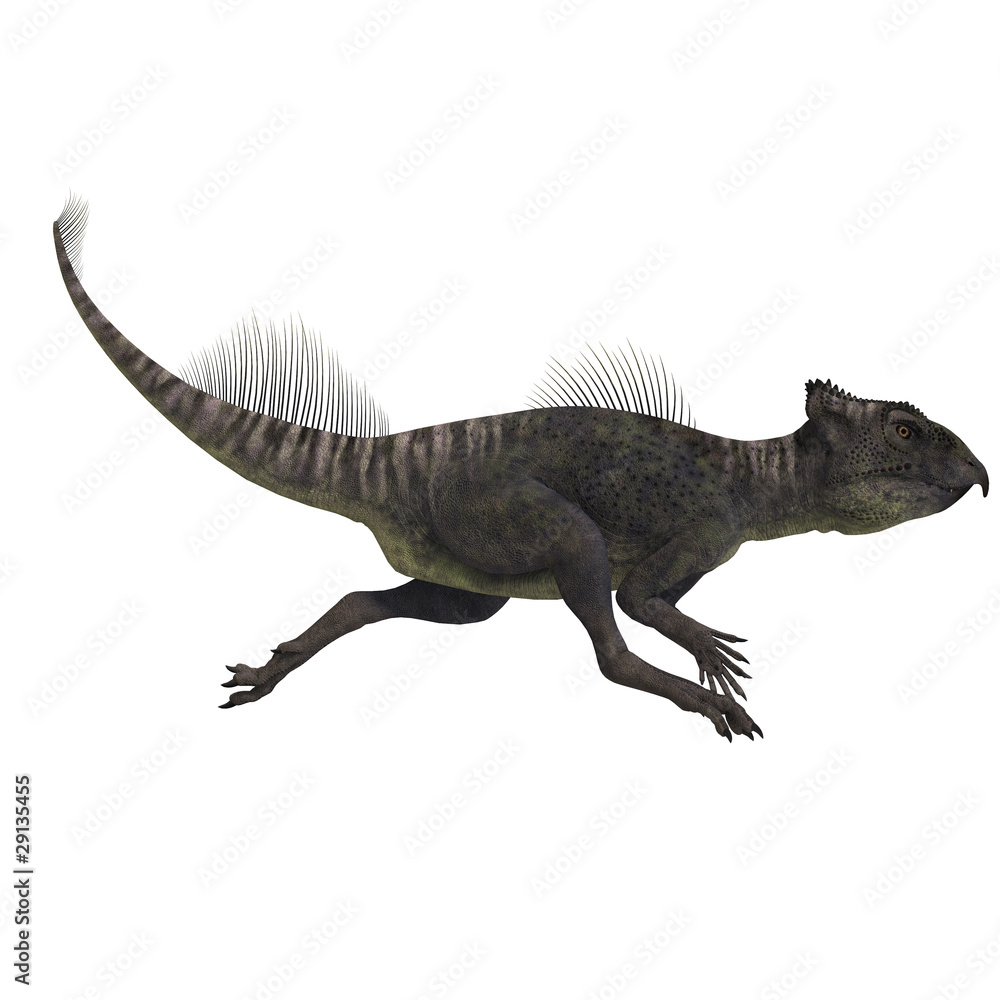 Dinosaur Archaeoceratops. 3D rendering with clipping path and