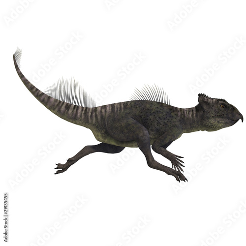 Dinosaur Archaeoceratops. 3D rendering with clipping path and © Ralf Kraft