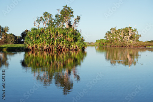 Trees with reflections, Kakadu N/P, Australia