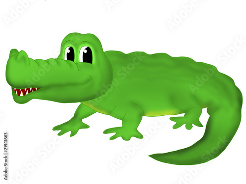 Crocodile