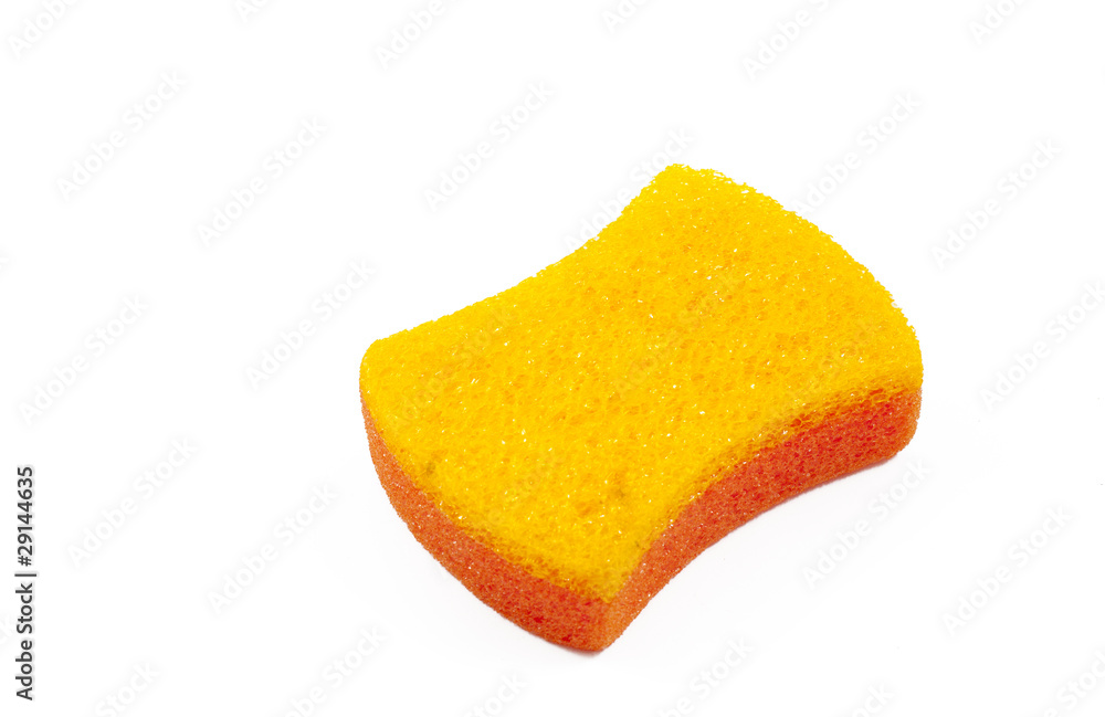 sponge sponge