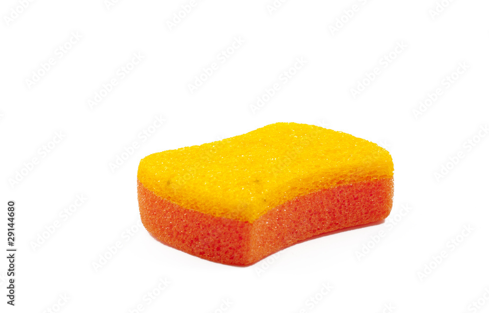 sponge sponge