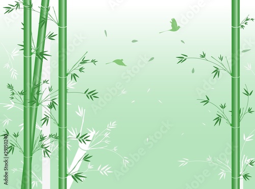 Vector green bamboo.