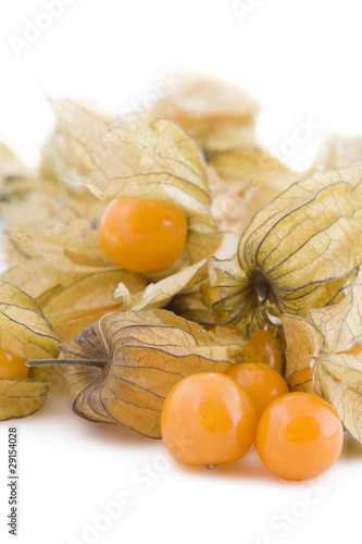 Fotografía Physalis fruits on white