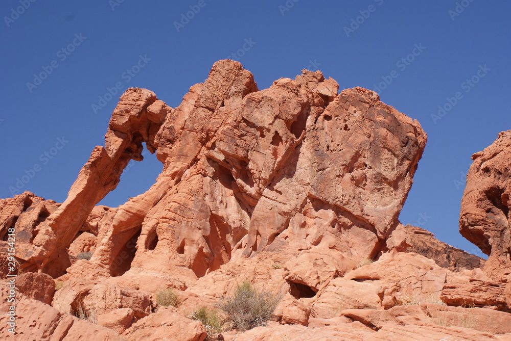 Fototapeta premium Elephant Rock