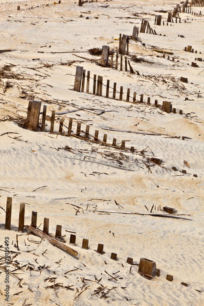 dunes are protected by wooden fences