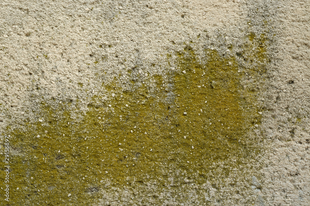 wall wall