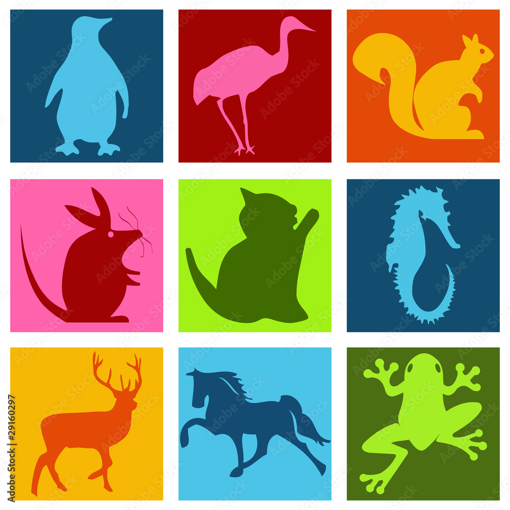 Pictogrammes animaux multicolore