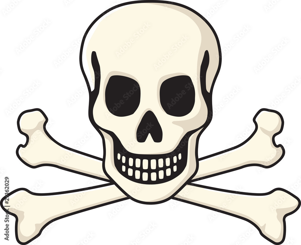 Fototapeta premium Skull and Crossbones