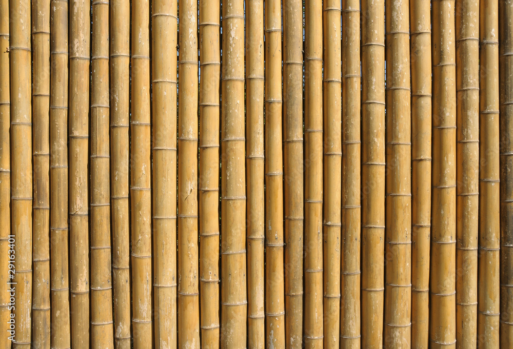 Naklejka premium Bamboo wall