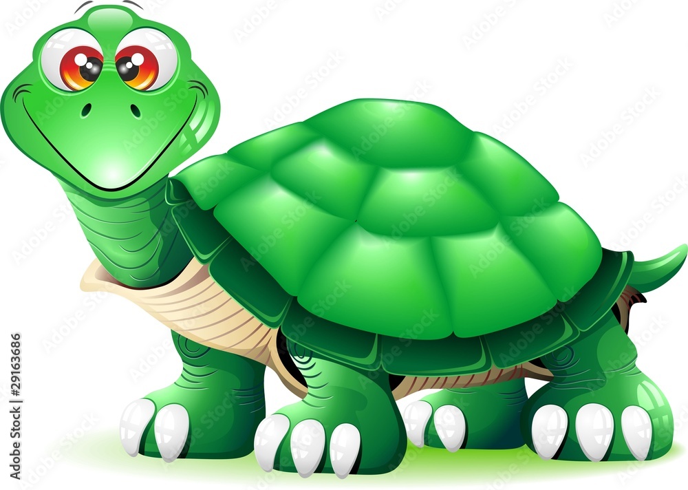Tartaruga Verde Cartoon-Green Turtle Cartoon-Vector Stock Vector | Adobe  Stock