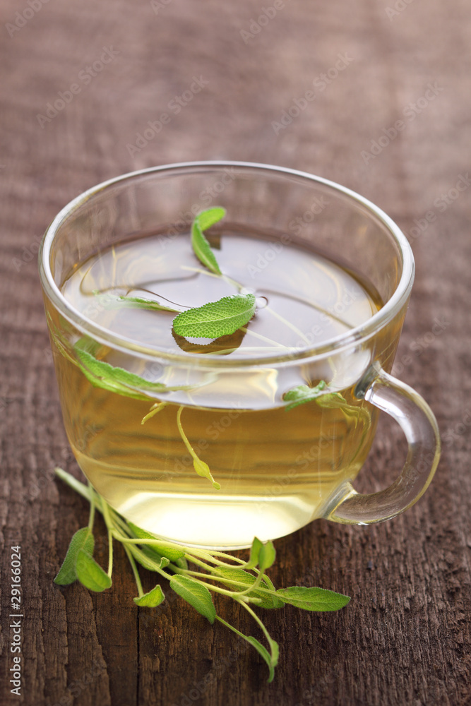 Herbal tea with fresh sage leaves Herbal tea with fresh sage leaves