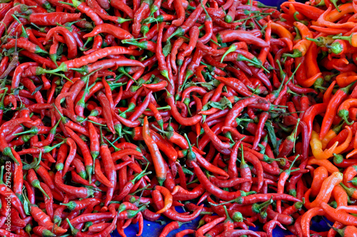 Hot chilli peppers on a market stall © sas
