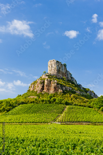 Solutre Rock with vineyards, Burgundy, France photo