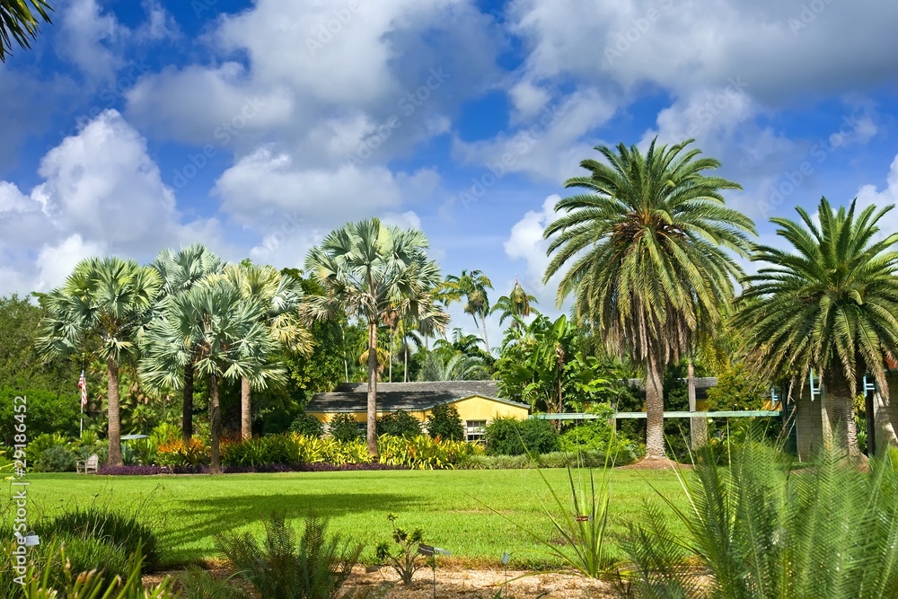 Fairchild tropical botanic garden, FL, USA Fairchild tropical botanic garden, FL, USA