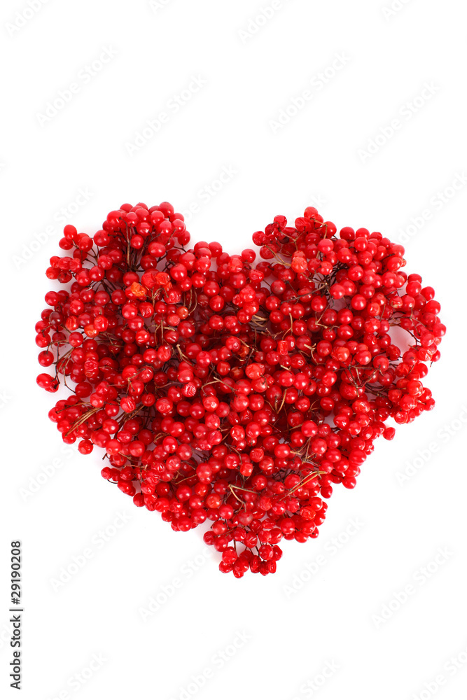 viburnum in heart shape on white viburnum in heart shape on white