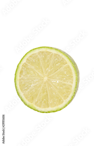 Single cross section of lime