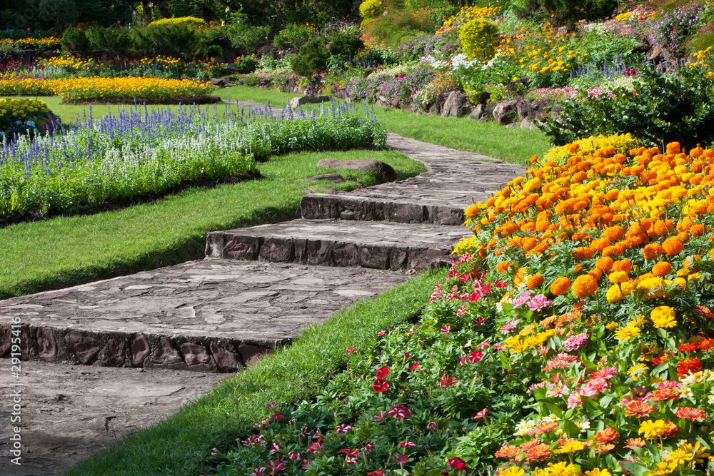 beautiful flowers in park beautiful flowers in park