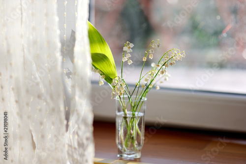 May-lily in glass of water