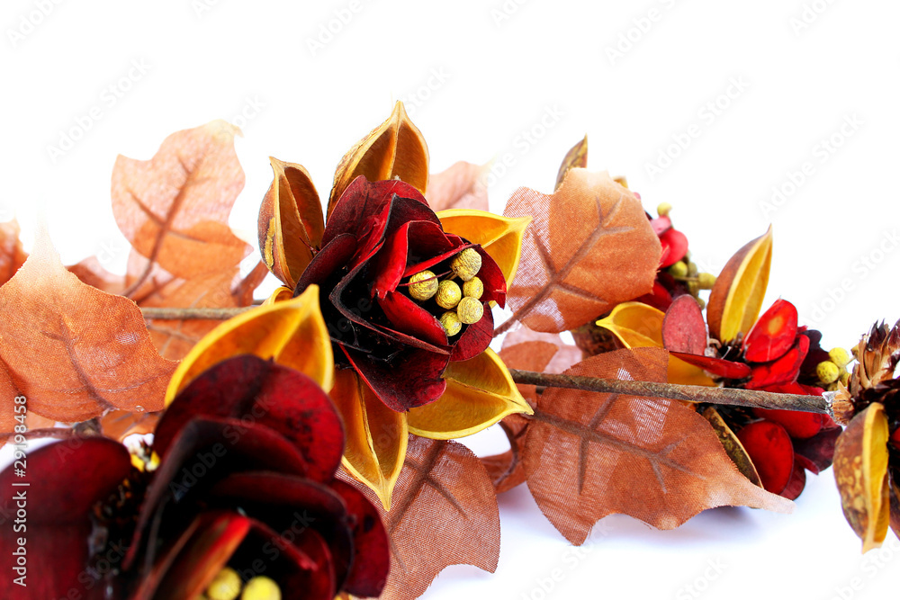 Obraz premium Flowers