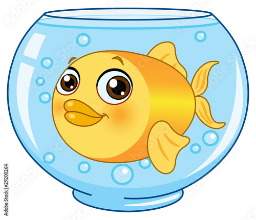 Goldfish