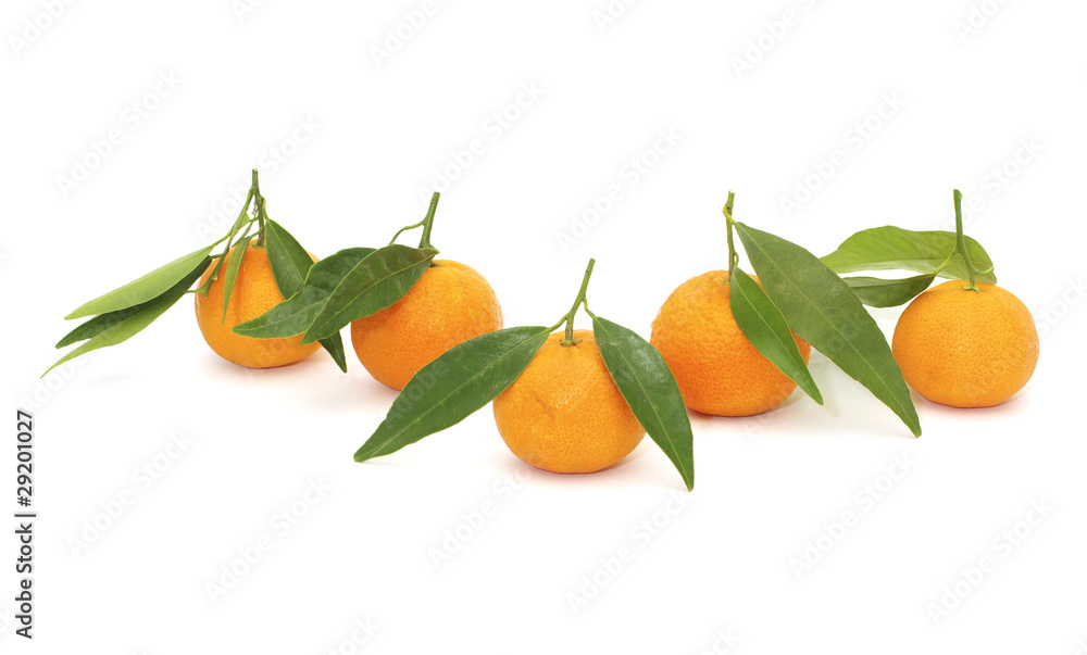 tangerine tangerine