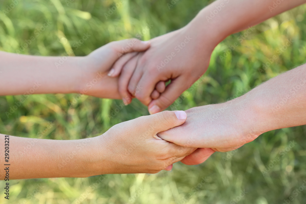 closeup of mother and son hands holding each other, green grass closeup of mother and son hands holding each other, green grass