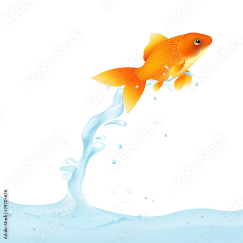Goldfish Leaping Out Of Water