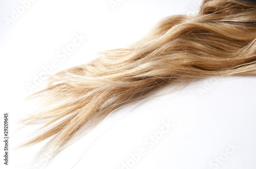 Wallpaper Mural lange Haare Torontodigital.ca