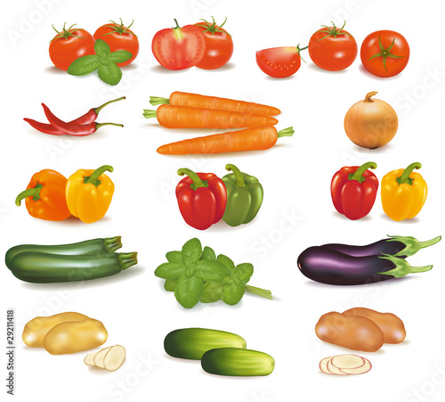 The big colorful collection of vegetables.