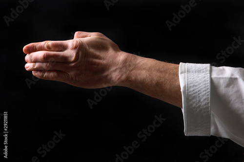 Fist. Hand fighter karate on the black background © Aptyp_koK
