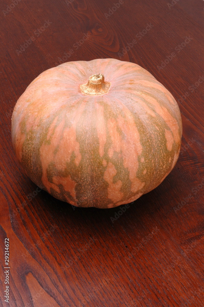 zucca 1 zucca 1