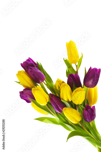 Tulpenstrauss