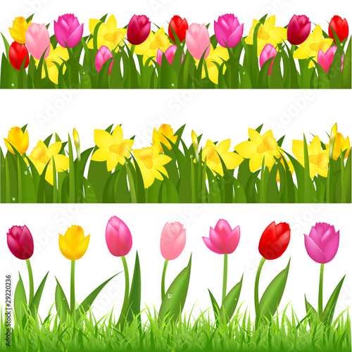 Fototapeta Naklejka Na Ścianę i Meble -  Flower Borders