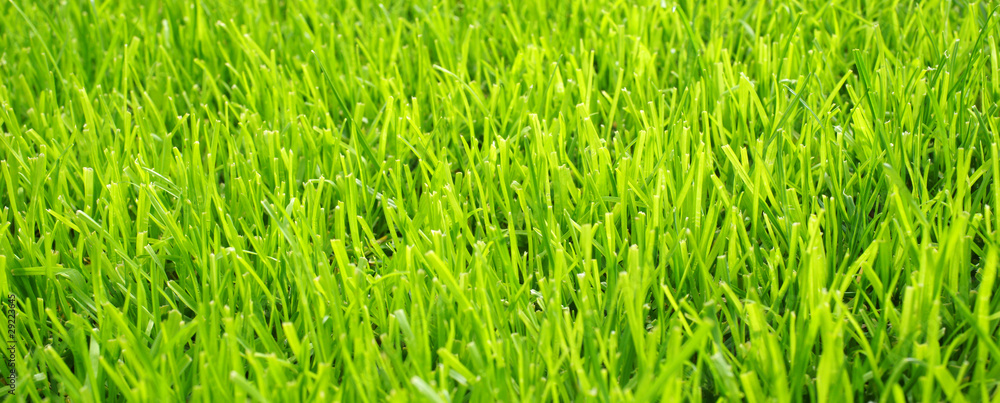 Obraz premium Soccer Grass - Fußball Rasen Textur quer