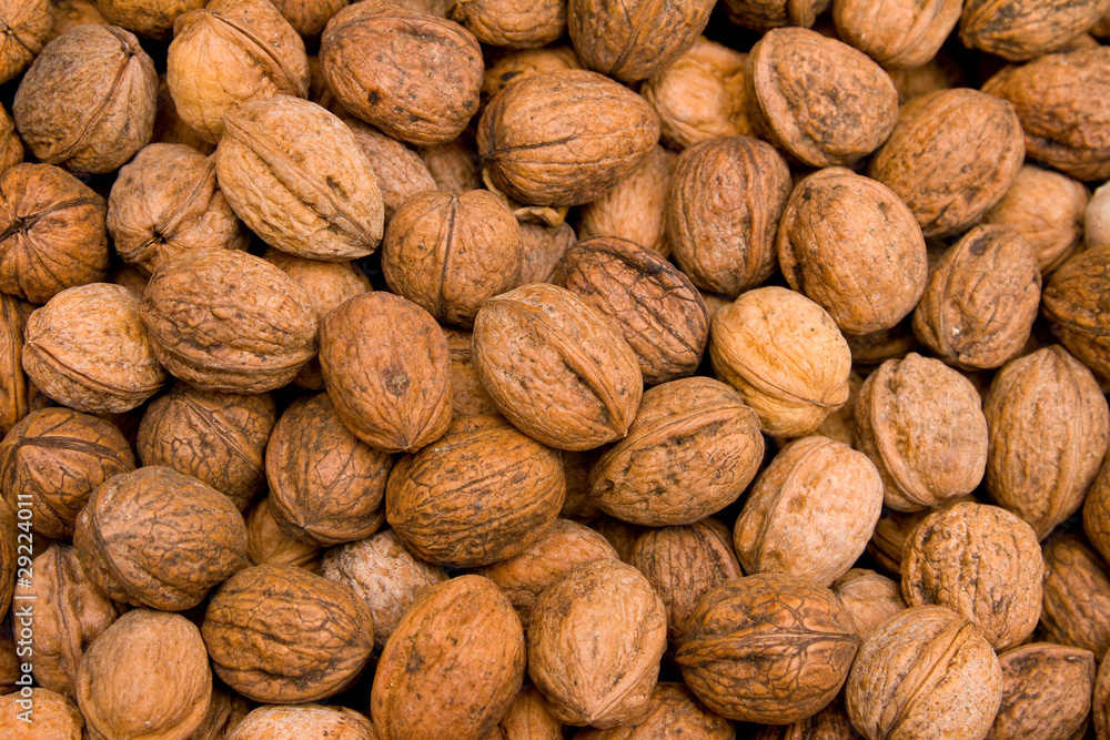 Nueces Nueces