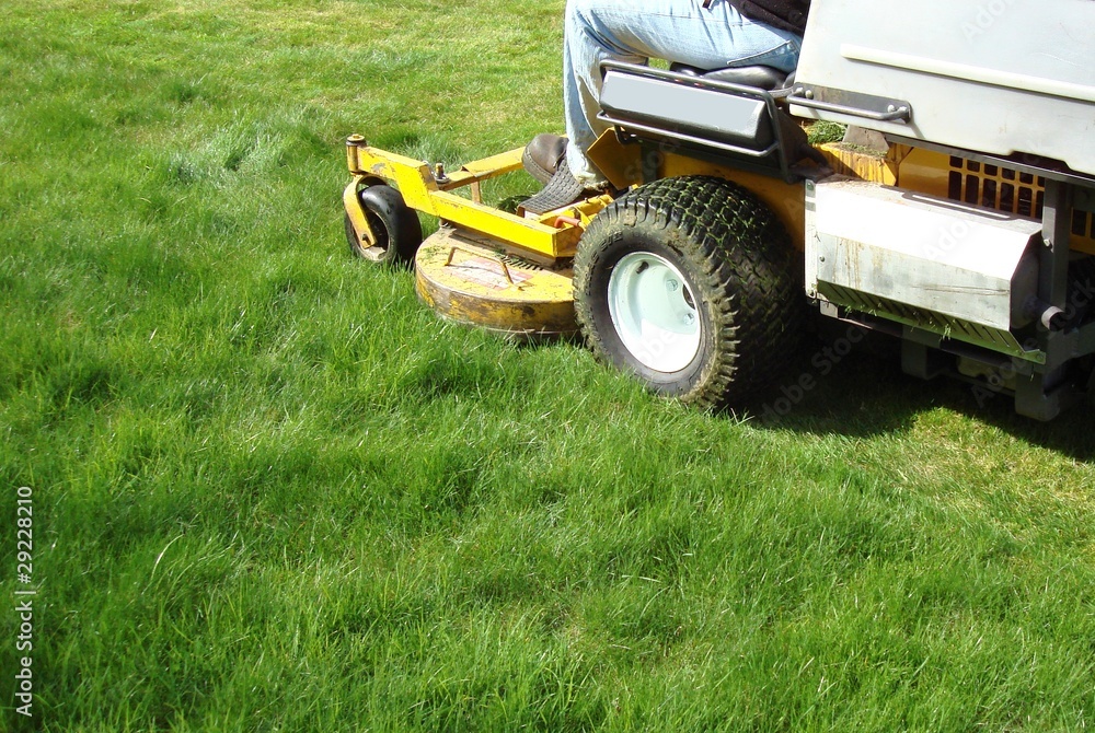 lawn mowing lawn mowing