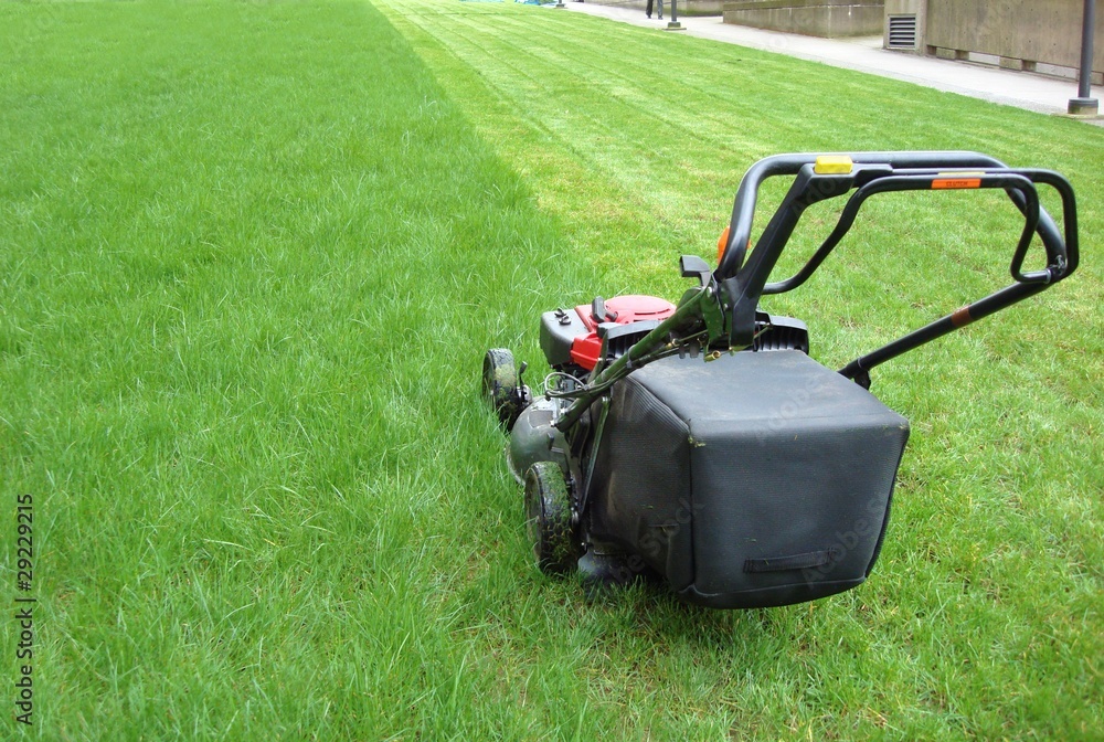 Fototapeta premium lawn mowing