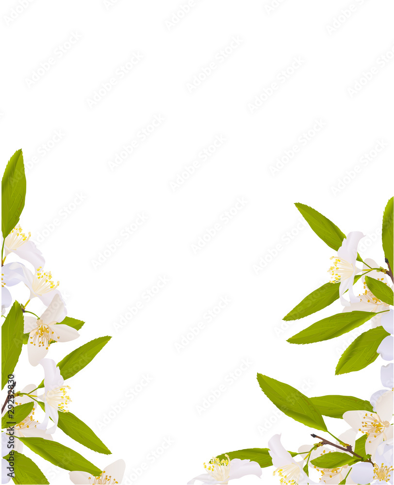 white jasmin flower decoration