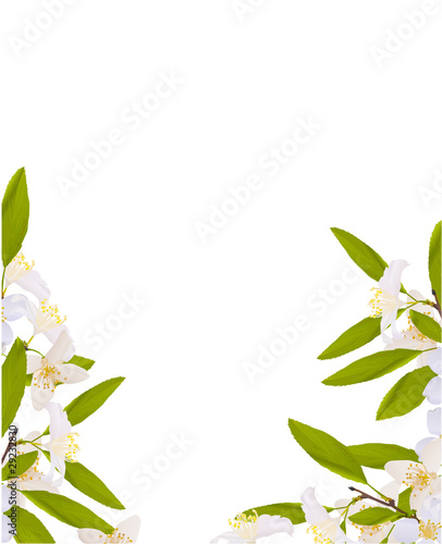 white jasmin flower decoration